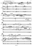 Network (1996) -Komposition für Orgel- und HolzWind Instruments-