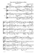 Dann steht der Mandelbaum in Blüte