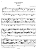 Organ music in Russia, vol. 2