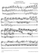 Organ Music in the Baltic States: Latvia