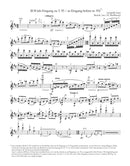 Cadenzas to Beethoven's Violin Concerto for Violin and Orchestra op. 61