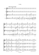 Missa solemnis op. 123 [合唱楽譜]