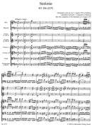 Symphony D major (based on Serenade K. 204 (213a)) [score]