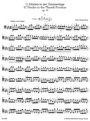 12 Etudes in the Thumb Position for Solo Violoncello op. 25