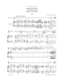 Concerto in A minor = ヴァイオリン協奏曲 イ短調 Op.53（ピアノ・リダクション）