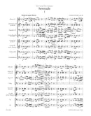 Serenade for Wind Instruments, Violoncello and Double Bass op. 44 [score]