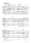 Far from distance for Clarinet, Violoncello and Piano (2008)
