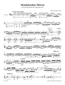 Mendelssohns Möwen (2012)