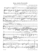 organ plus one: Low Instruments I