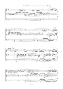 septimus angelus for organ solo (2017/2018) -Symphonic observations about Albrecht Dürer's Apocalypse