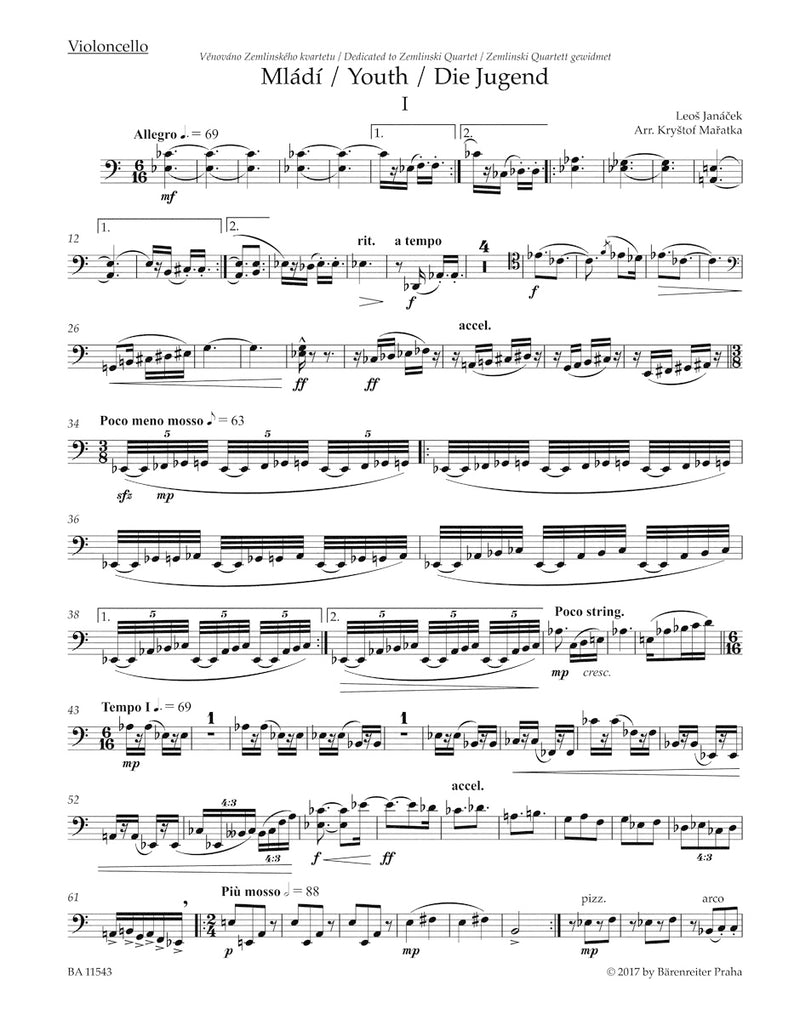 Youth (Arrangement for String Quartet) [Set of Parts]