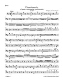Divertimento in B-flat minor KV 287 (Bass part)