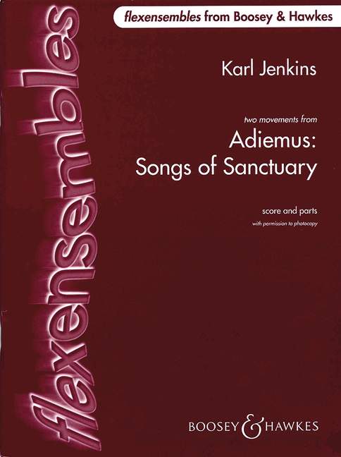 Adiemus - Songs of Sanctuary (flexible ensemble / school orchestra)