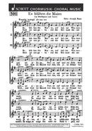 Es blühen die Maien