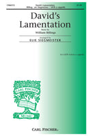 David's Lamentation
