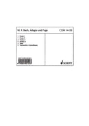 Adagio und Fuge d-Moll Falck 65 (set of parts)