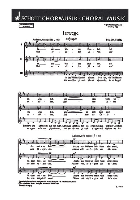 18 Chorlieder, 11. Irrwege - Bolyongás