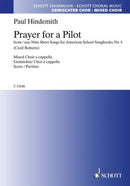 Prayer for a Pilot