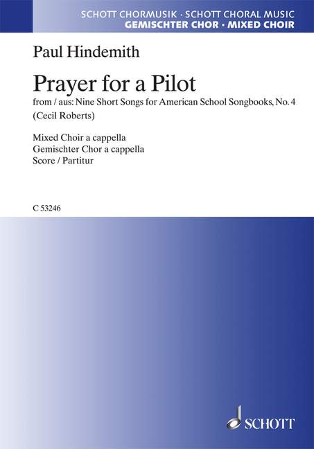 Prayer for a Pilot