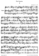 Three Sonatas for Alto Recorder and Basso continuo