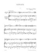 Sonata for Alto Recorder (Flute, Oboe) and Basso continuo D minor