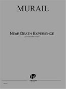 Near Death Experience