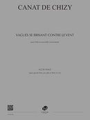 Vagues se brisant contre le vent