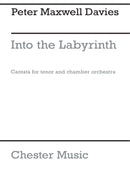 Into The Labyrinth