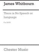 There Is No Speech Or Language