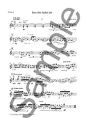 Into The Faded Air (Parts)