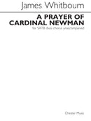A Prayer Of Cardinal Newman