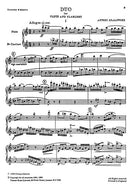 Duo For Flute and Clarinet