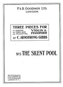 The Silent Pool