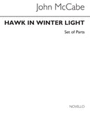 Hawk In Winter Light (Parts)