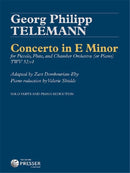 Concerto in E Minor
