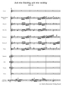 Ach wie flüchtig, ach wie nichtig BWV 26（ポケットスコア）