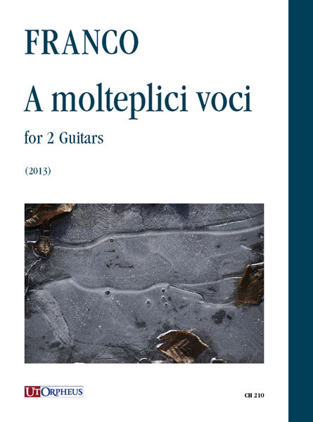 A molteplici voci for 2 Guitars (2013)