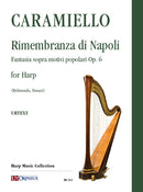 Rimembranza di Napoli
