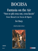 Fantasia sull'aria Non so più cosa son cosa faccio