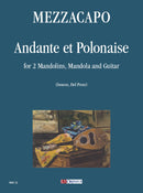 Andante et Polonaise